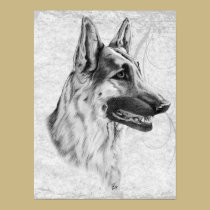 Cão de pastor alemão posters