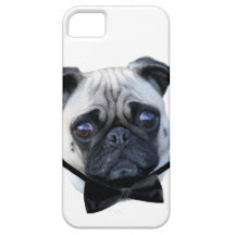 Cão do pug do menino iPhone 5 capa