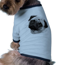 Cão do Pug Roupas Para Pets