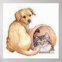 cão e gato em uma cesta poster