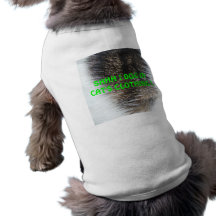 CÃO NA ROUPA DO CAT ROUPAS PARA CAES