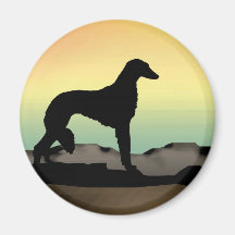 Cão Saluki do deserto Imas