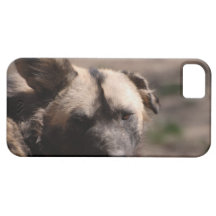 Cão selvagem com orelha flexível capa iPhone 5