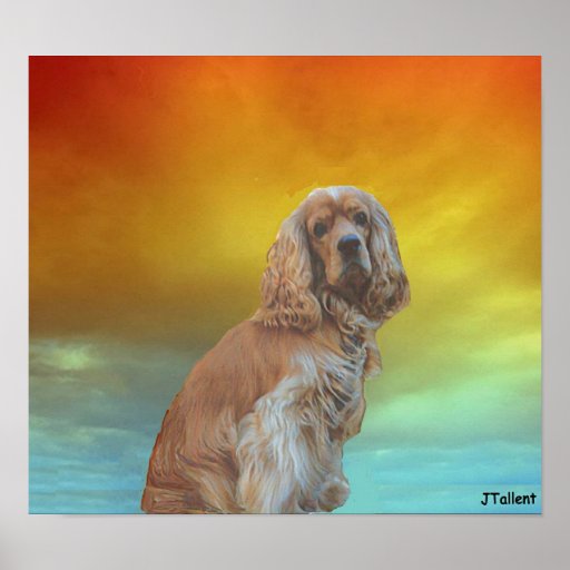 Cão velho poster