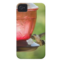 Capa de iphone 4 do colibri em vôo capa iPhone 4 Case-Mate