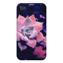 Capa de iphone 4 do Succulent