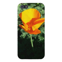 Capa de telefone da flor iPhone 5 capa