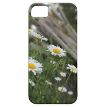 Capas de iphone da margarida capas iPhone 5