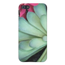 Capas de iphone da planta & da flor do Succulent