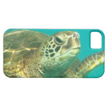 Capas de iphone da tartaruga de mar iPhone 5 capas