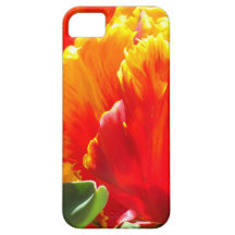 Capas de iphone da tulipa de Colorburst Capas De iPhone 5 Case-Mate