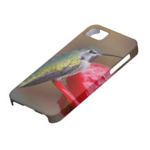 Capas de iphone do colibri capas iPhone 5