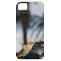 Capas de iphone do colibri iPhone 5 capa