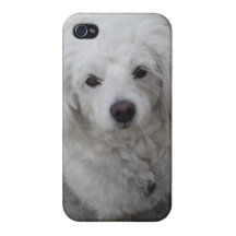 Capas de iphone do Doggy (Piggi)
