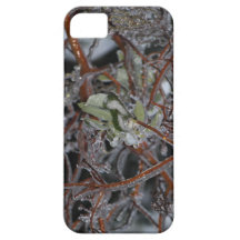 Capas de iphone iPhone 5 capa