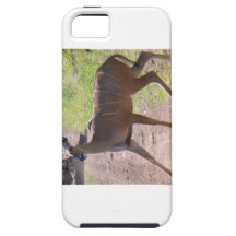 Capas de iphone iPhone 5 capas