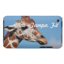 capas do ipod touch - personalizadas capas iPod touch