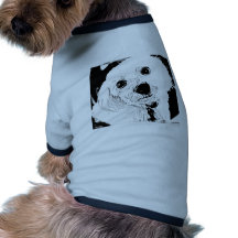cara maltesa do filhote de cachorro roupa para pet
