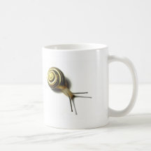 CARACOL DE JUNGLEWALK.COM CANECA