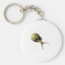 CARACOL DE JUNGLEWALK.COM CHAVEIRO