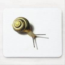 CARACOL DE JUNGLEWALK.COM MOUSE PAD