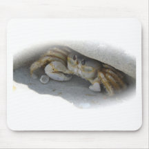 Caranguejo na areia mousepad