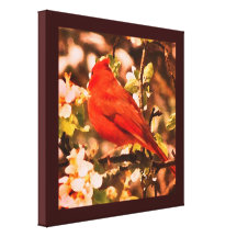 Cardeal nas flores de Apple Impressão De Canvas Esticada