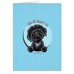 Caribe de Labradoodle IAAM Cartao