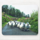 Carneiros Mousepad de Ireland Beara