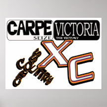 CARPE VICTORIA - APREENDA A VITÓRIA - PAÍS TRANSVE POSTERS