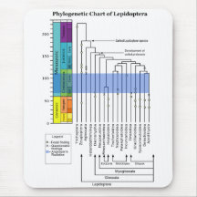 Carta filogenética de linhagens dos Lepidoptera Mousepads