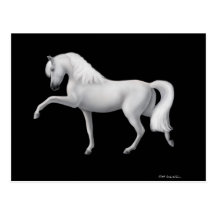 Cartão andaluz branco do cavalo cartão postal