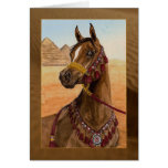Cartão árabe ideal egípcio do cavalo