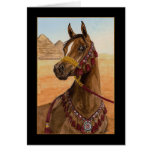 Cartão árabe ideal egípcio do cavalo