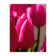 Cartão bonito da tulipa convite personalizados