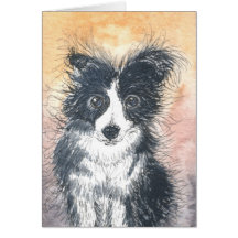 Cartão bonito de border collie, para entusiastas d