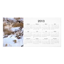 Cartão com fotos de 2013 calendários