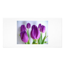 Cartão com fotos roxo das tulipas