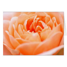 Cartão cor-de-rosa