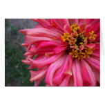 Cartão cor-de-rosa da flor
