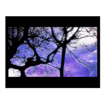 cartão crepuscular pintado da árvore cartoes postais