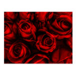 Cartão da elegância da rosa vermelha cartoes postais