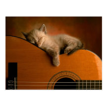 cartão da gatinho-em-guitarra cartões postais