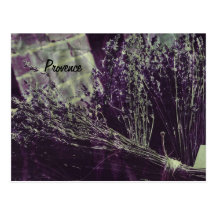 cartão da lavanda de provence cartoes postais