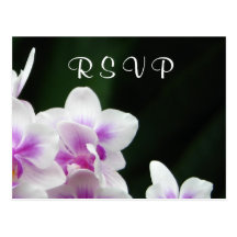 Cartão da orquídea RSVP Cartões Postais