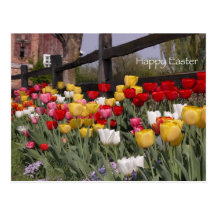 Cartão da páscoa do jardim da tulipa cartoes postais
