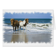Cartão da praia do cavalo