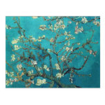 Cartão das flores da amêndoa de Van Gogh Cartão Postal