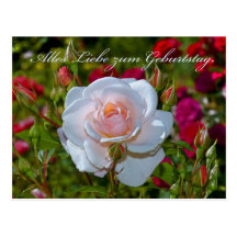 Cartão de aniversário com rosas cartao postal