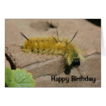 Cartão de aniversário da natureza de Caterpillar d